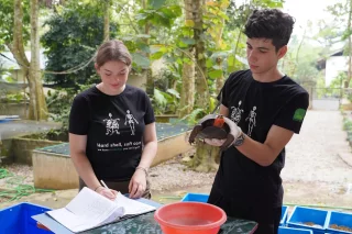 Ein junger Mann hält eine Schildkröte hoch, während eine junge Frau etwas in einem Heft notiert. Sie tragen die gleichen Shirts. Um sie herum sind Eimer mit weiteren Schildkröten.